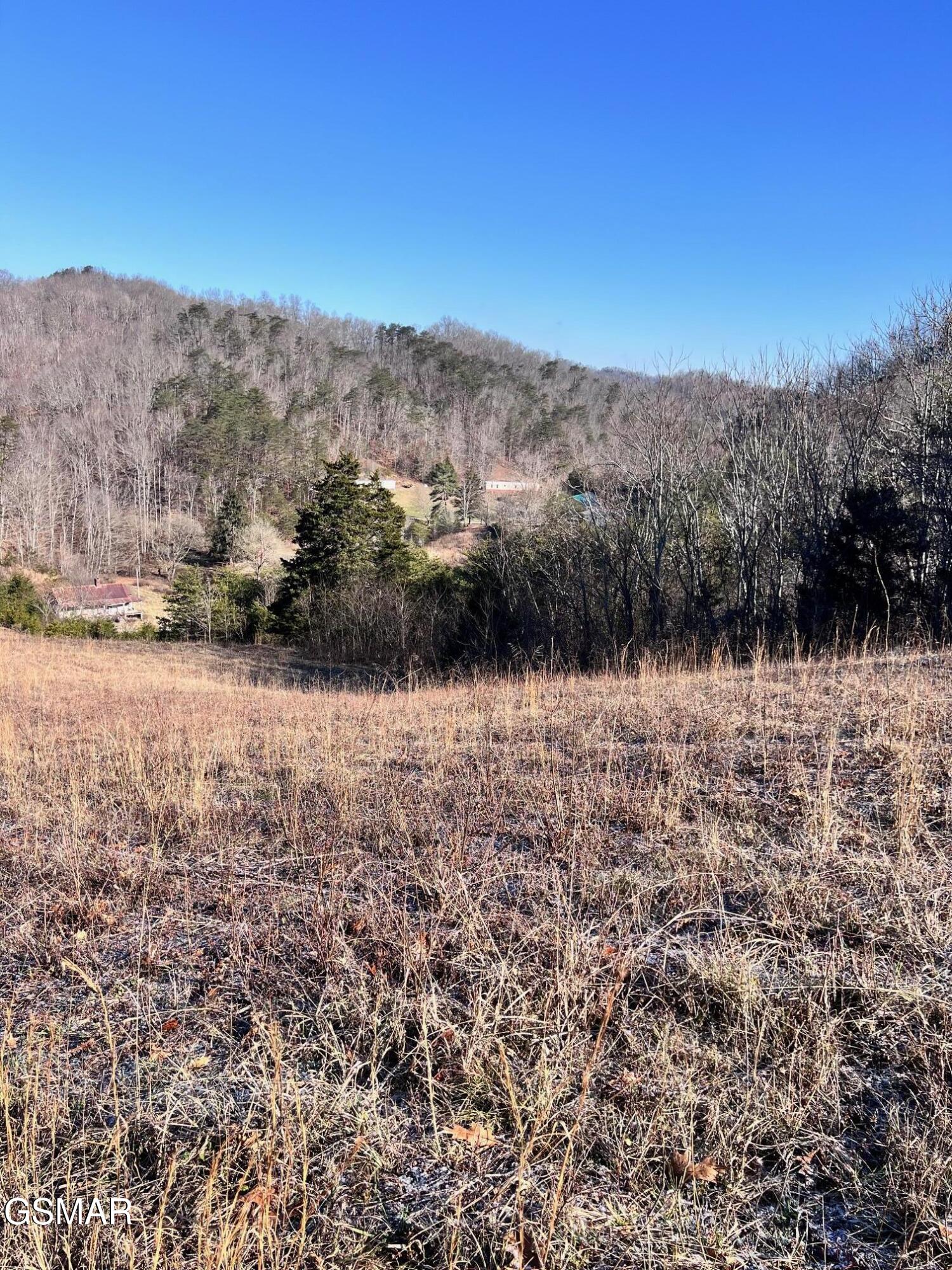 1581 Lower Caney Valley Road Tazewell TN 37879