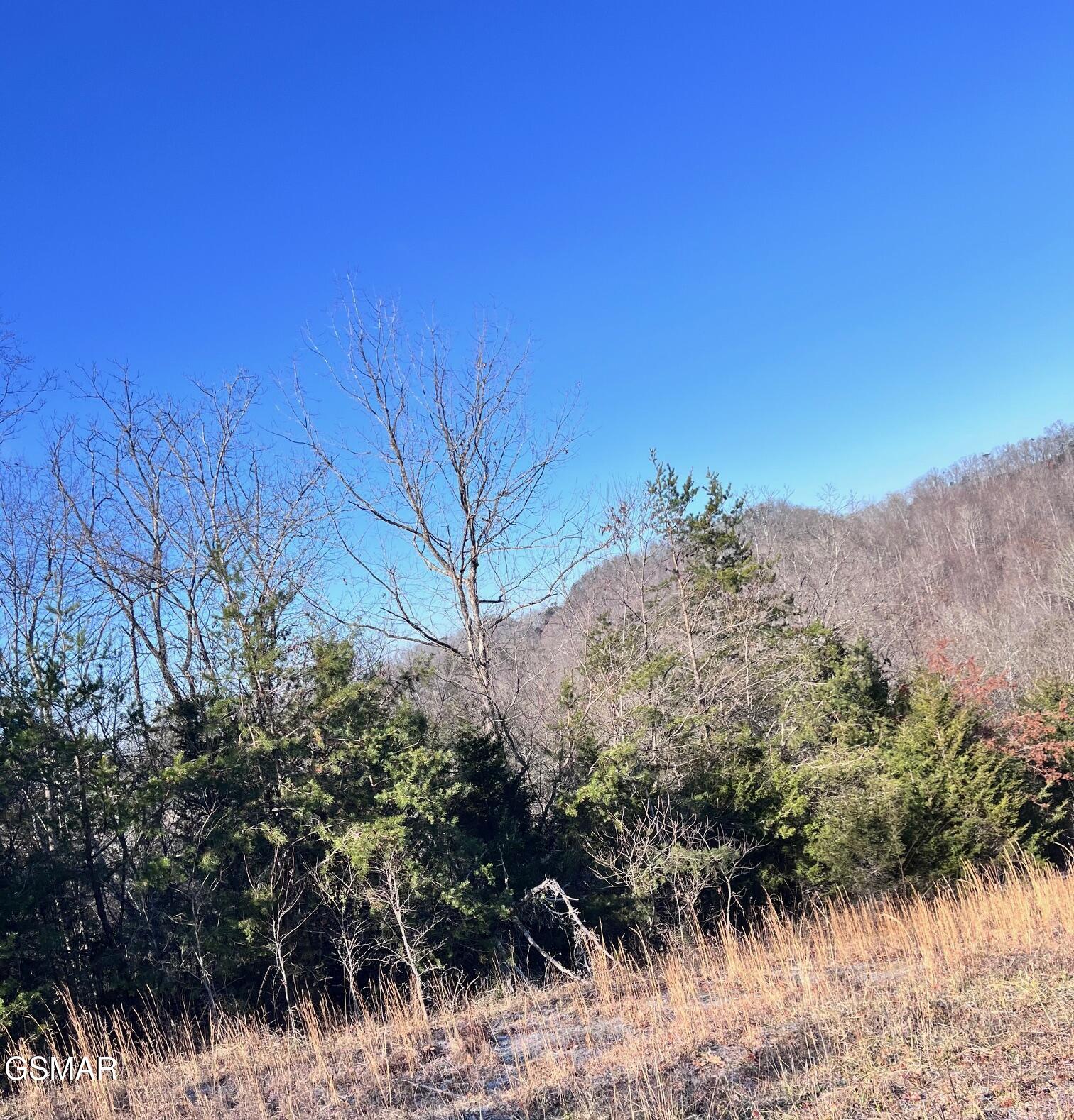 1581 Lower Caney Valley Road Tazewell TN 37879