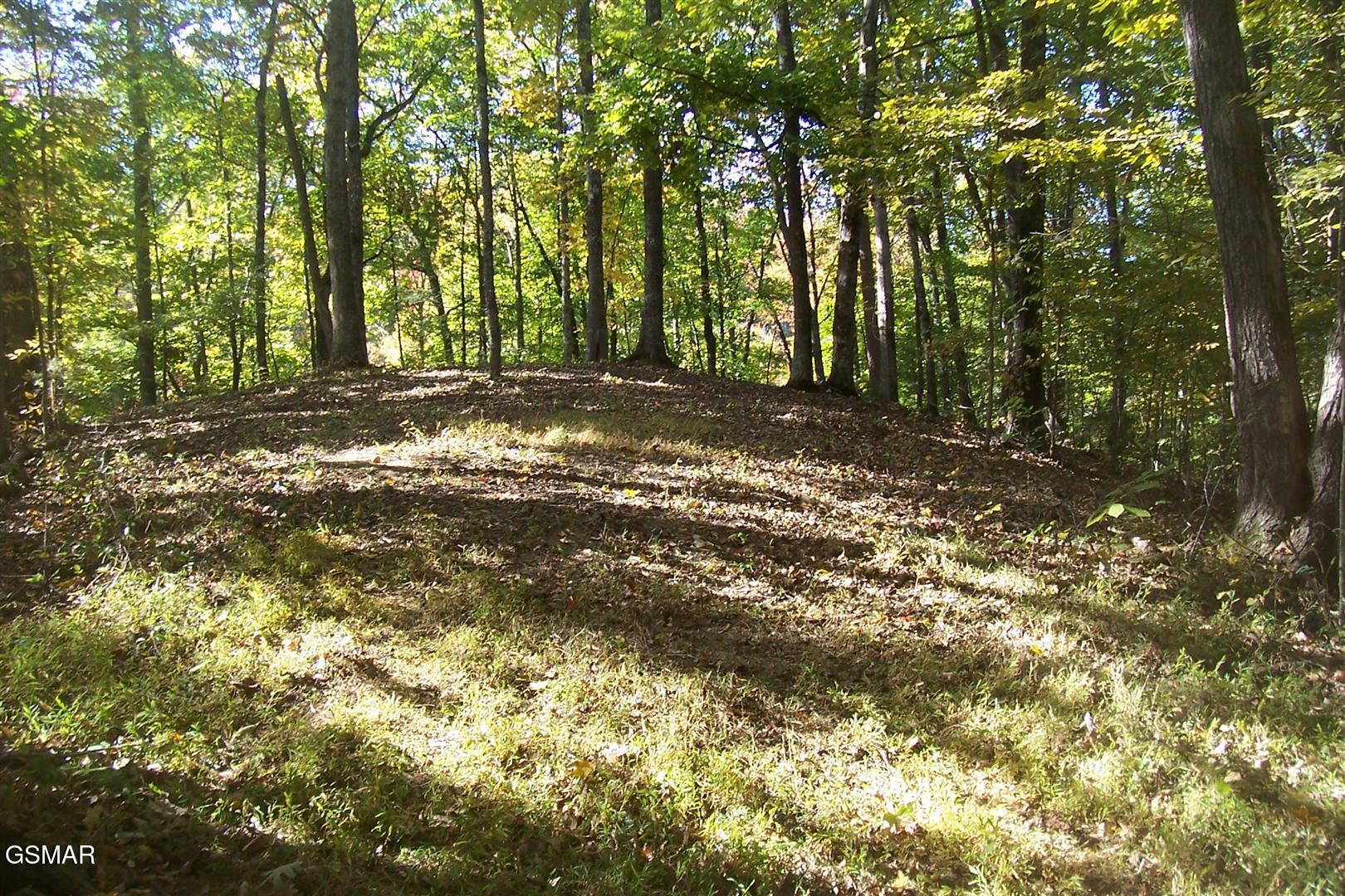 Trail 4 Veterans Boulevard Boulevard Pigeon Forge TN 37863