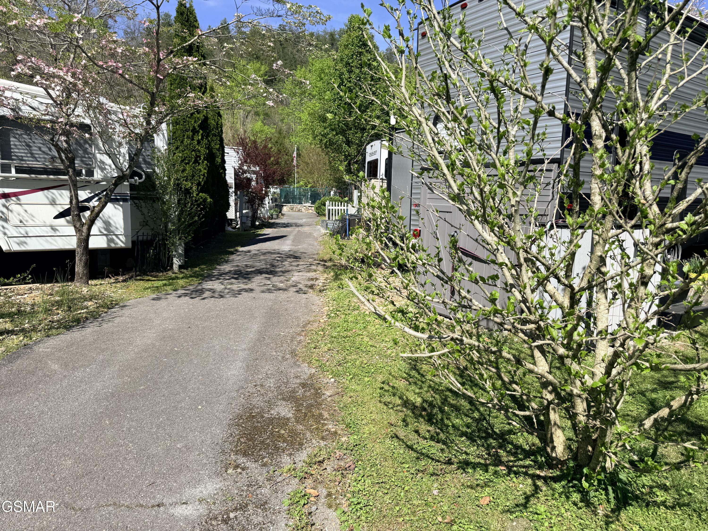 4229 E Parkway #223 Gatlinburg TN 37738