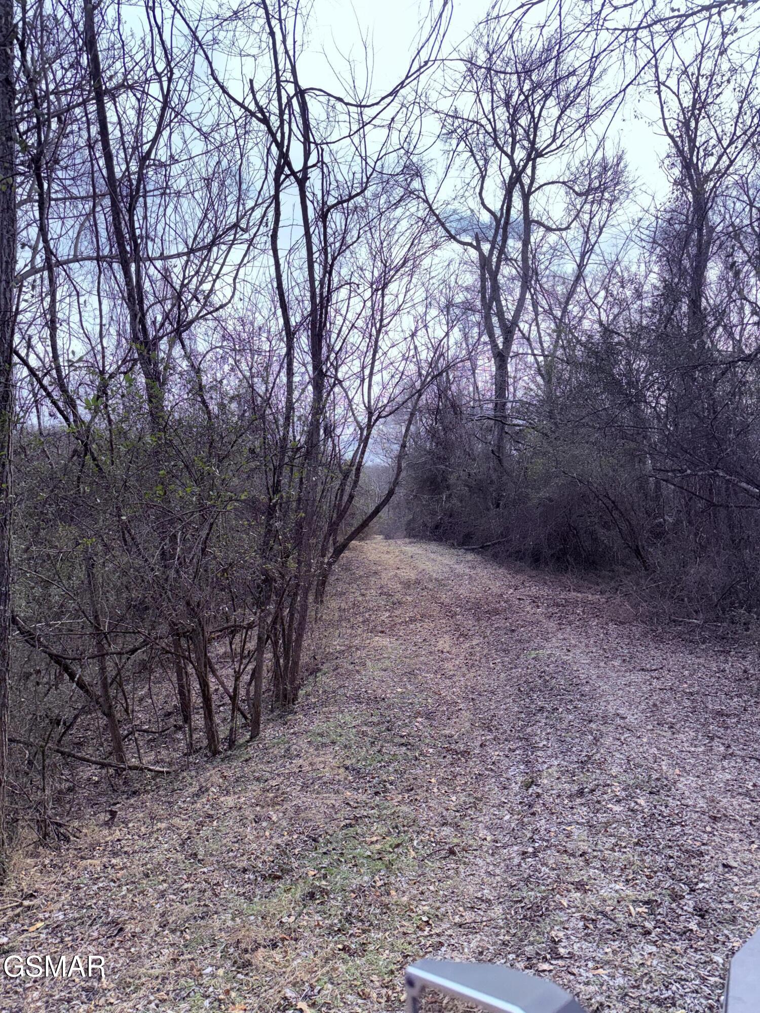 0 Chickory Road Newport TN 37821