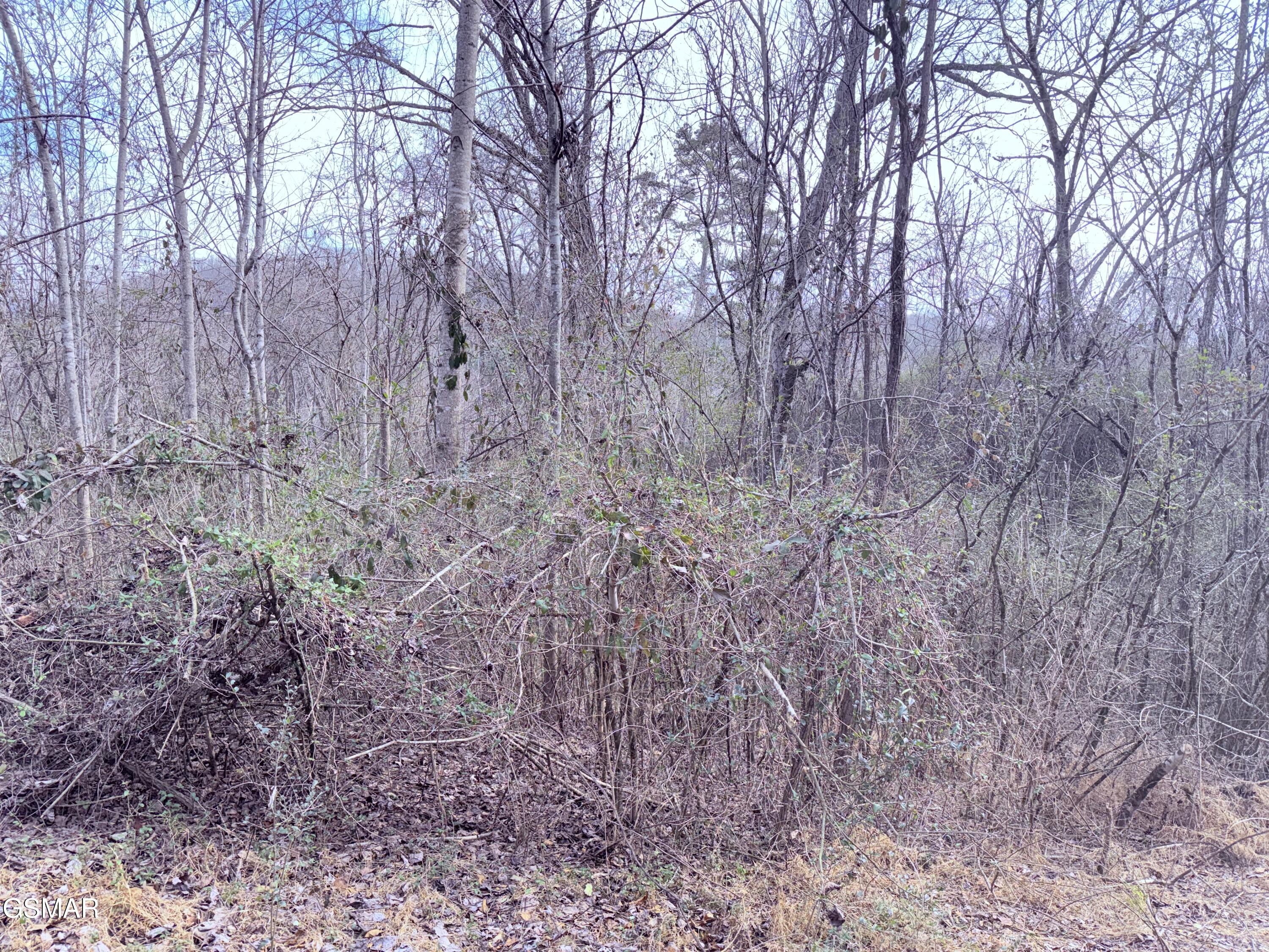 0 Chickory Road Newport TN 37821