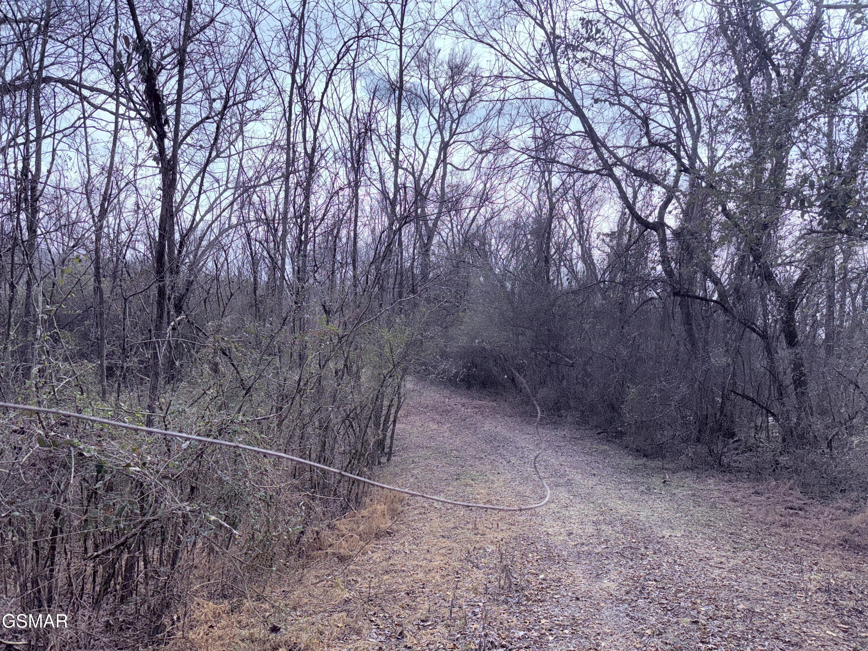 0 Chickory Road Newport TN 37821