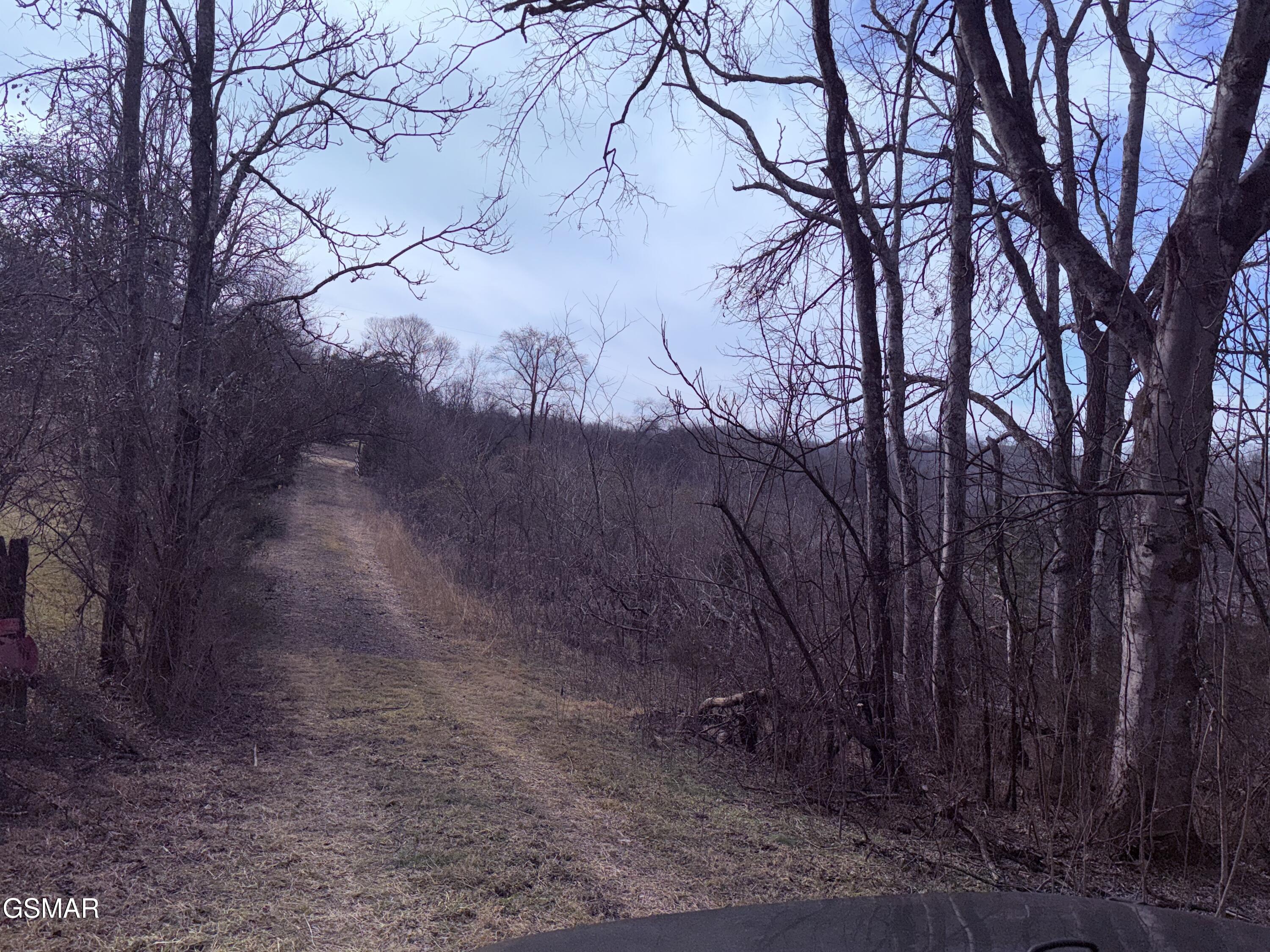 0 Chickory Road Newport TN 37821