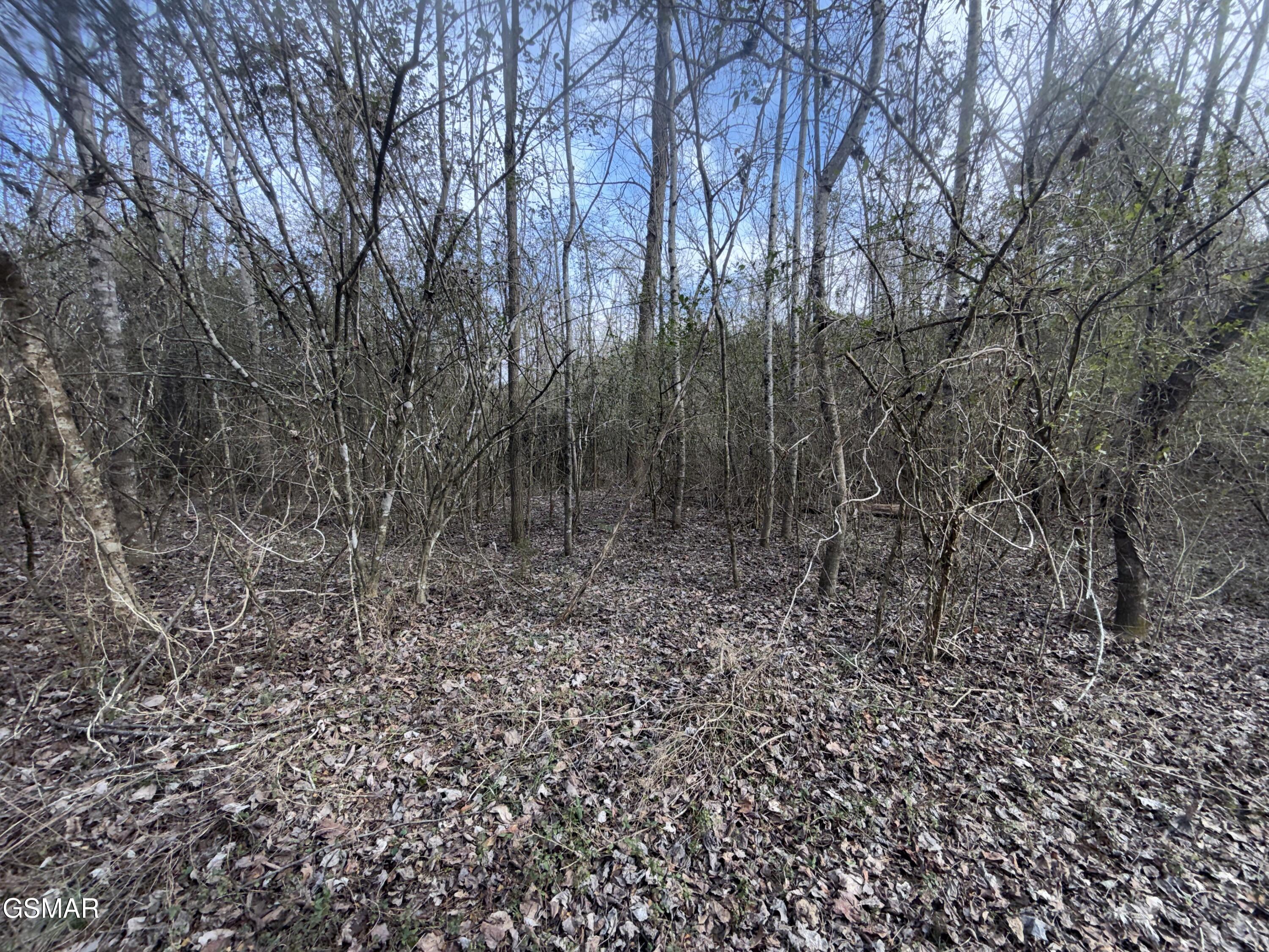 0 Chickory Road Newport TN 37821