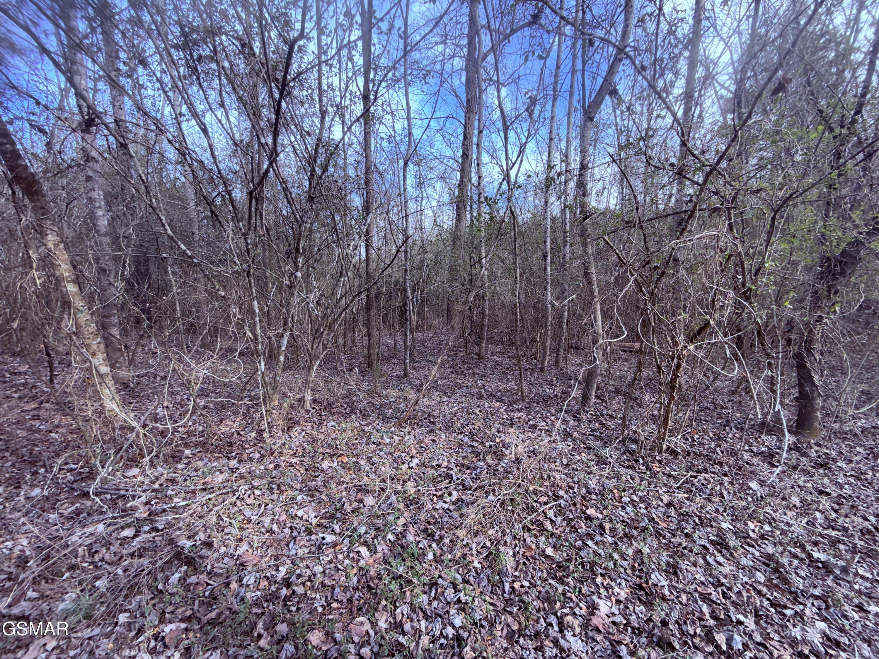 0 Chickory Road Newport TN 37821