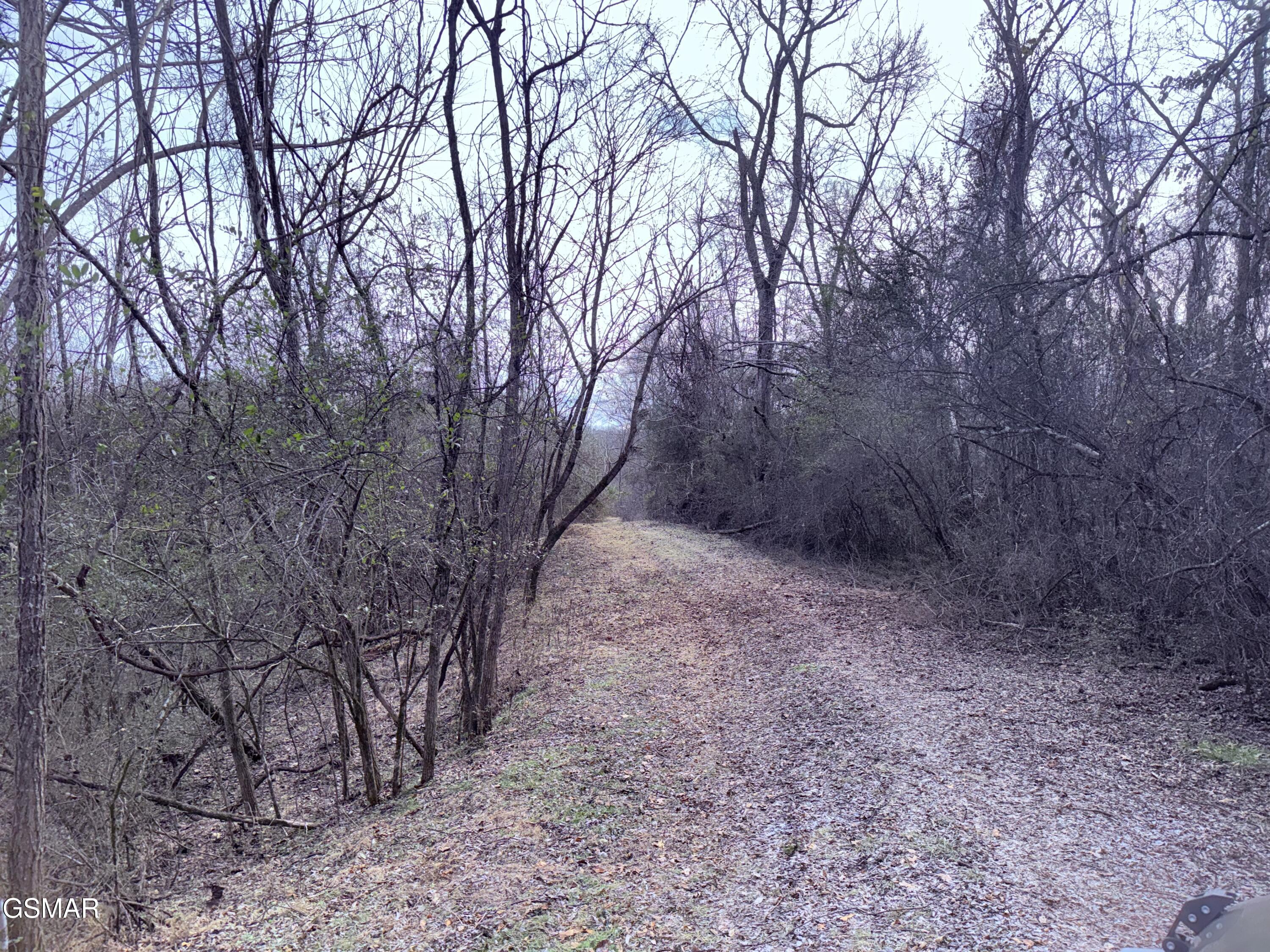0 Chickory Road Newport TN 37821