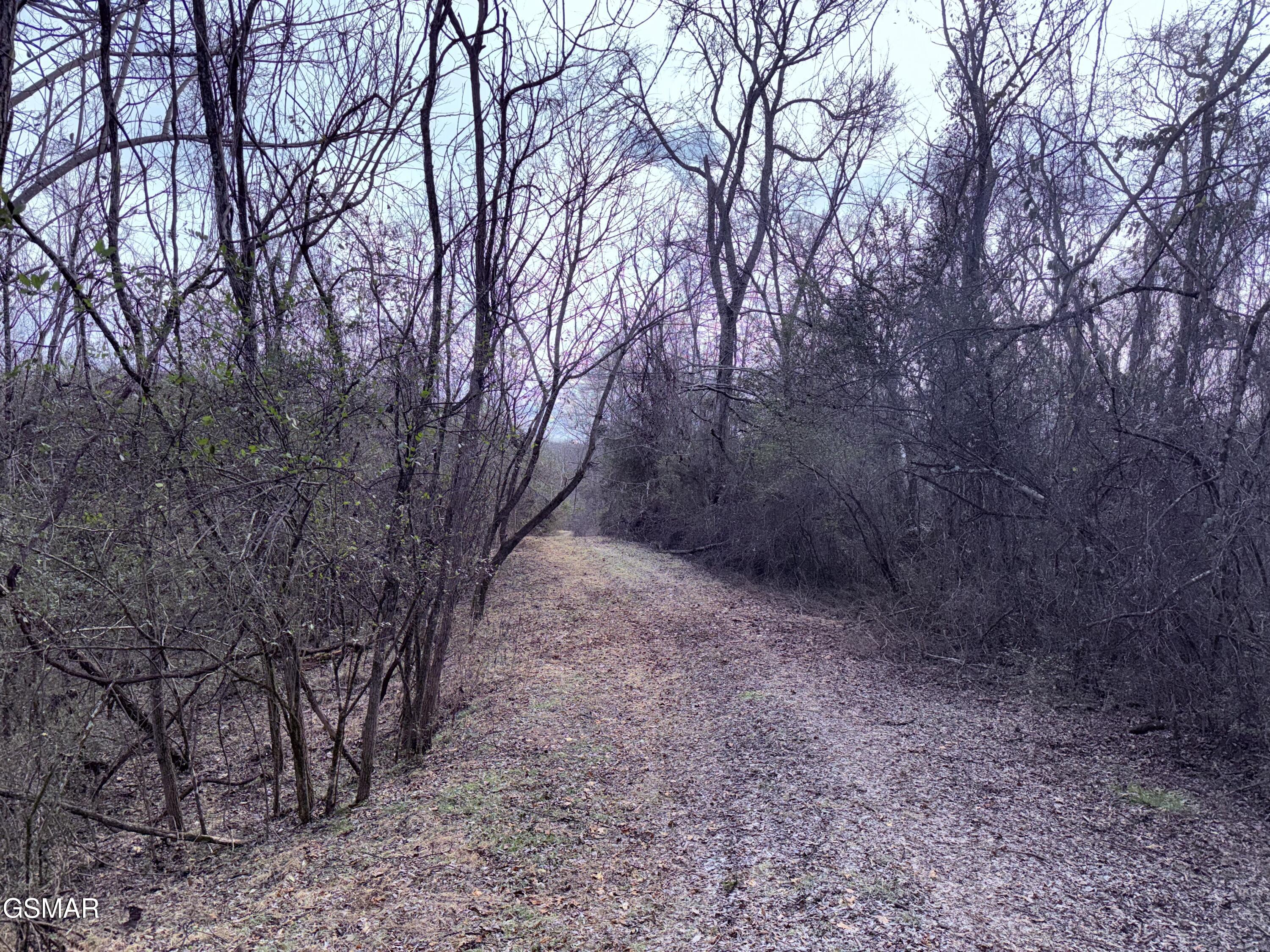 0 Chickory Road Newport TN 37821