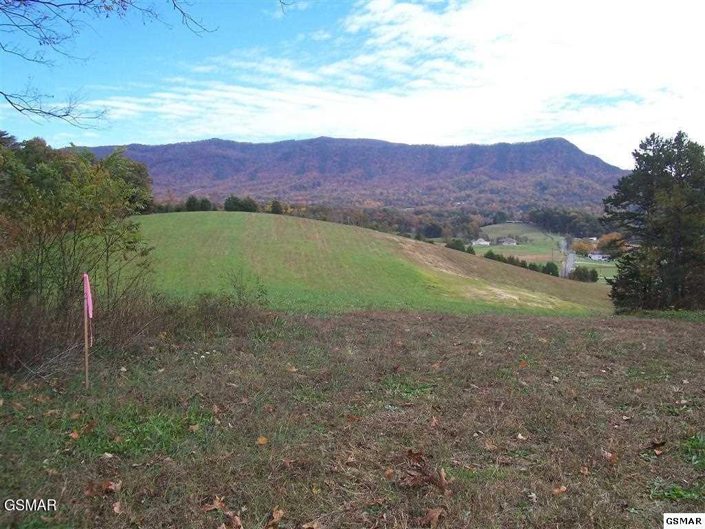 Tract 2 Newport Highway Sevierville TN 37876