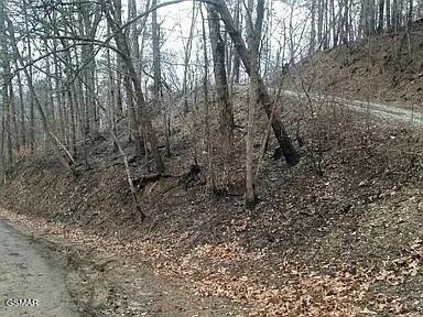 449 Troy Drive Pigeon Forge TN 37863