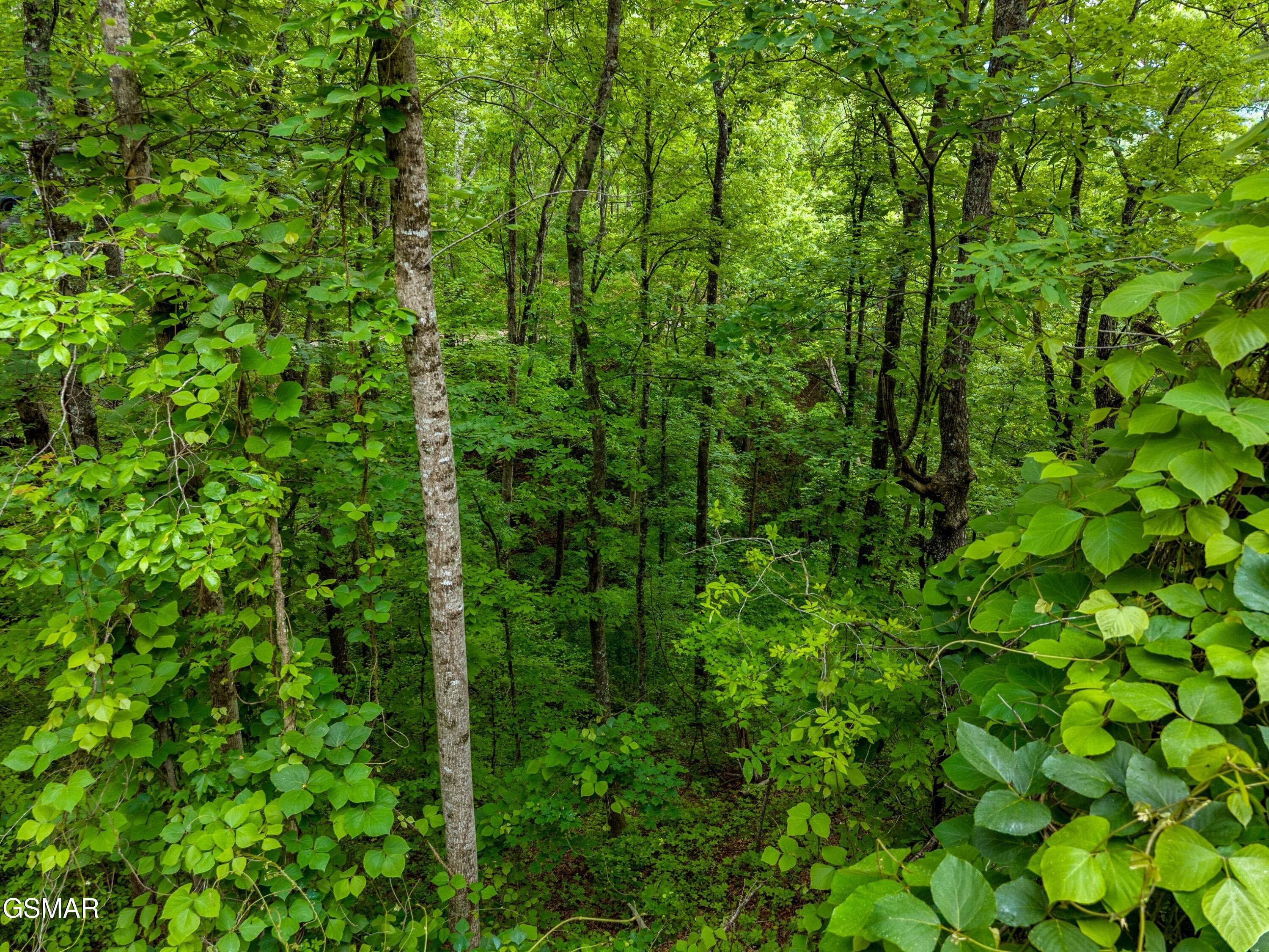 Lot 9ae Red Bone Way Sevierville TN 37876
