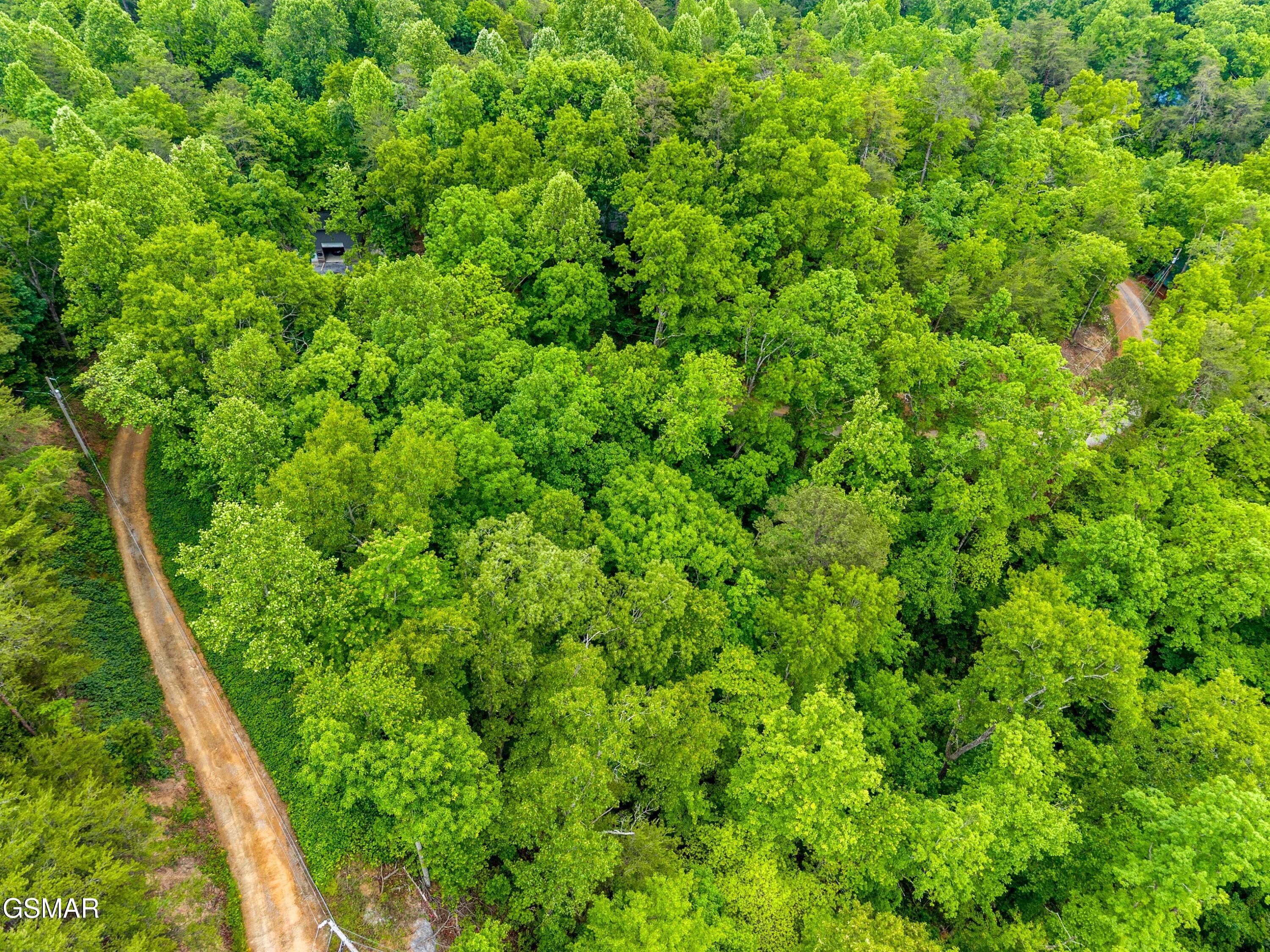 Lot 9ae Red Bone Way Sevierville TN 37876