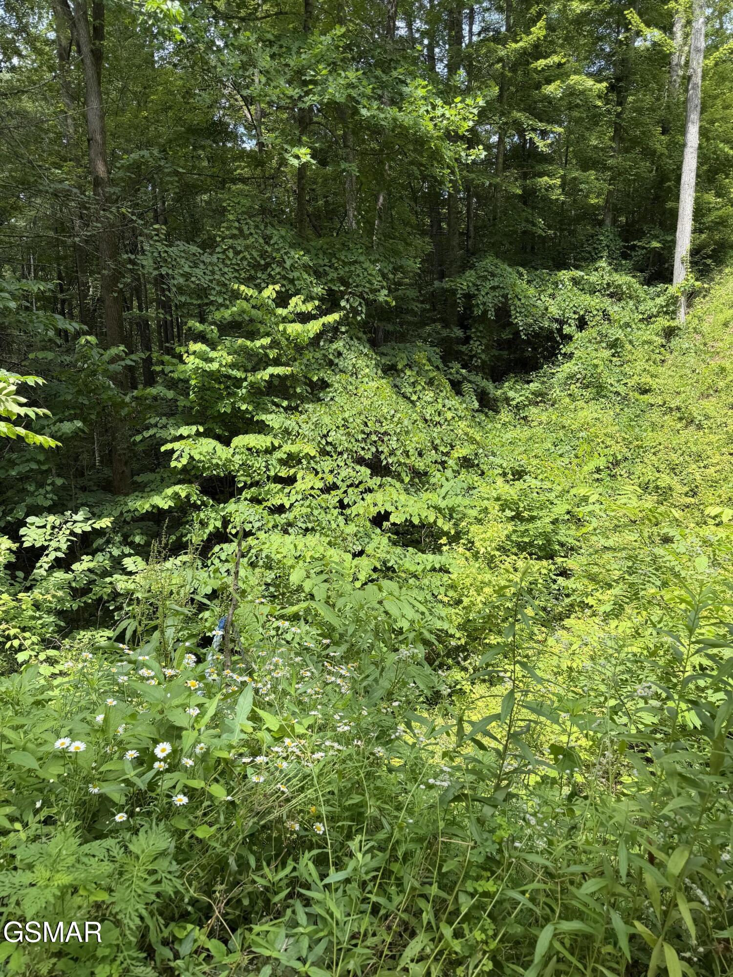 Lot 56 Butternut Lane Sevierville TN 37876