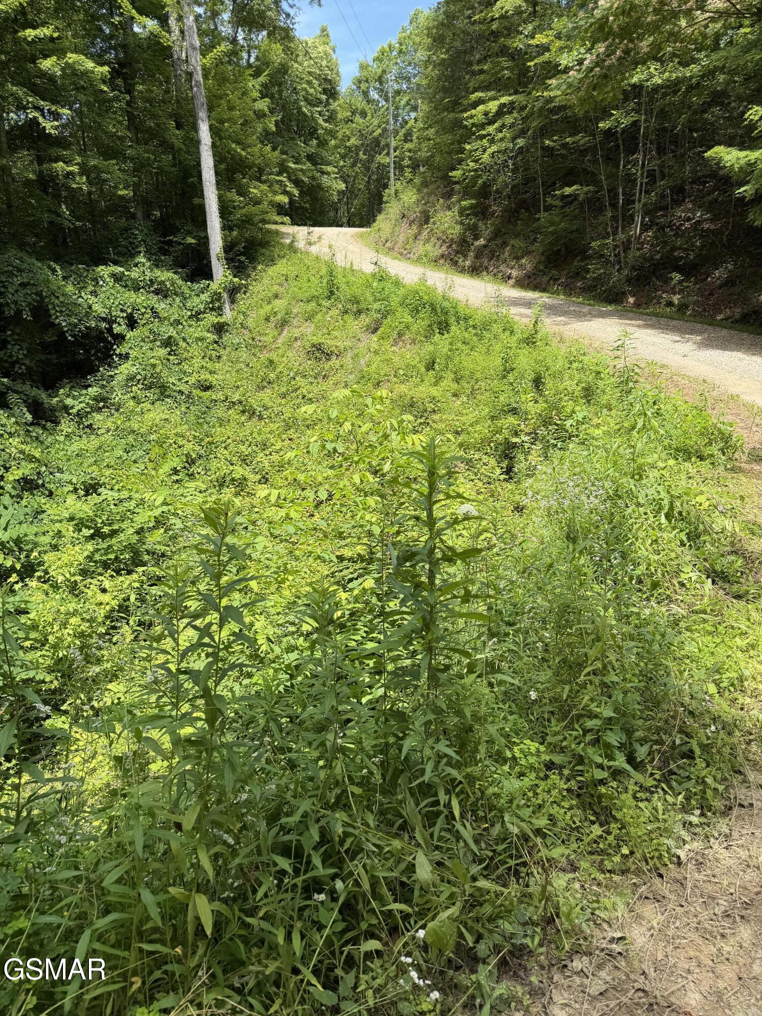 Lot 56 Butternut Lane Sevierville TN 37876