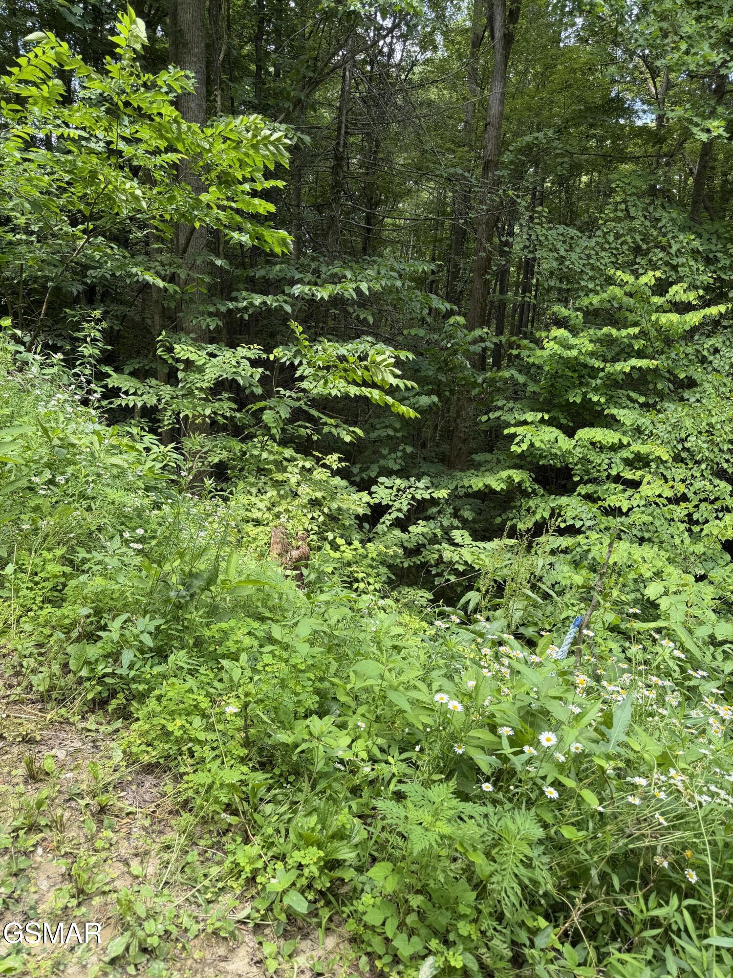 Lot 56 Butternut Lane Sevierville TN 37876