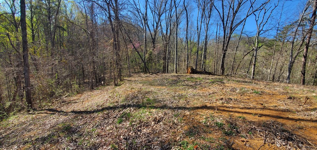 331 Chestnut Ridge Walland TN 37886