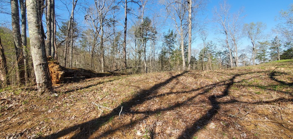 331 Chestnut Ridge Walland TN 37886