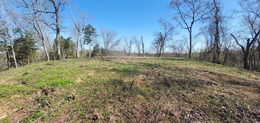 331 Chestnut Ridge Walland TN 37886