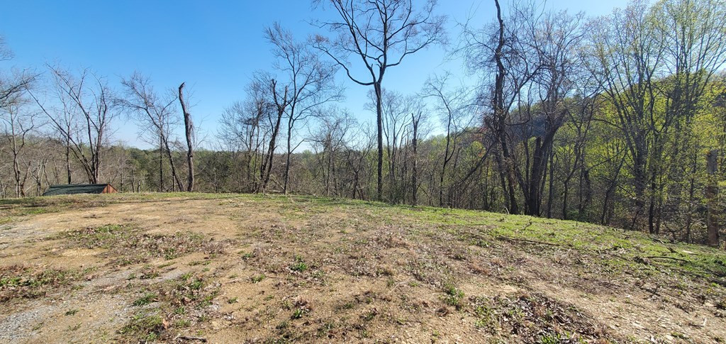 331 Chestnut Ridge Walland TN 37886