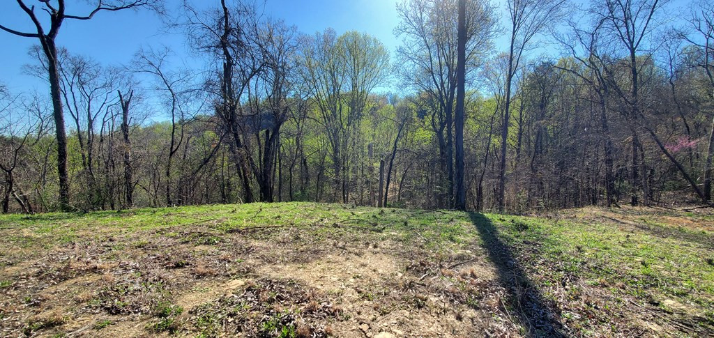 331 Chestnut Ridge Walland TN 37886