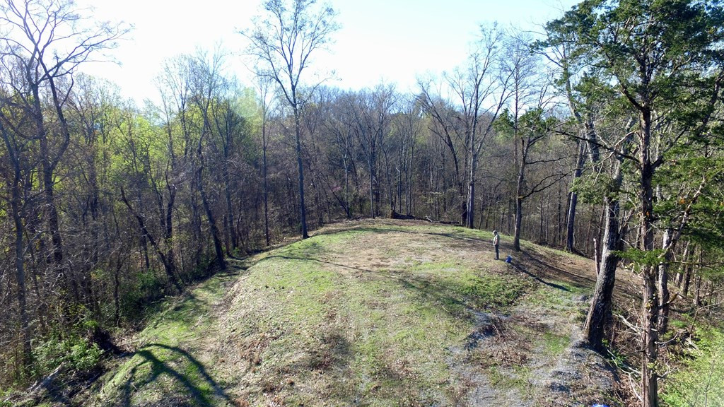 331 Chestnut Ridge Walland TN 37886