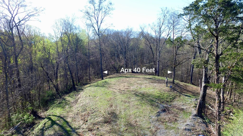 331 Chestnut Ridge Walland TN 37886