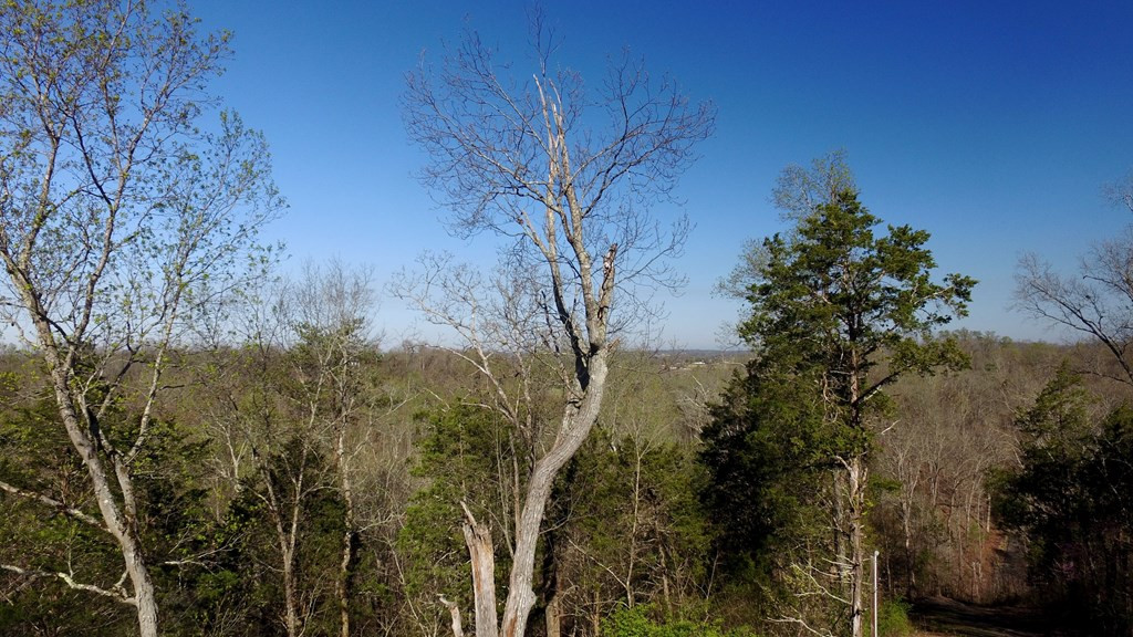 331 Chestnut Ridge Walland TN 37886