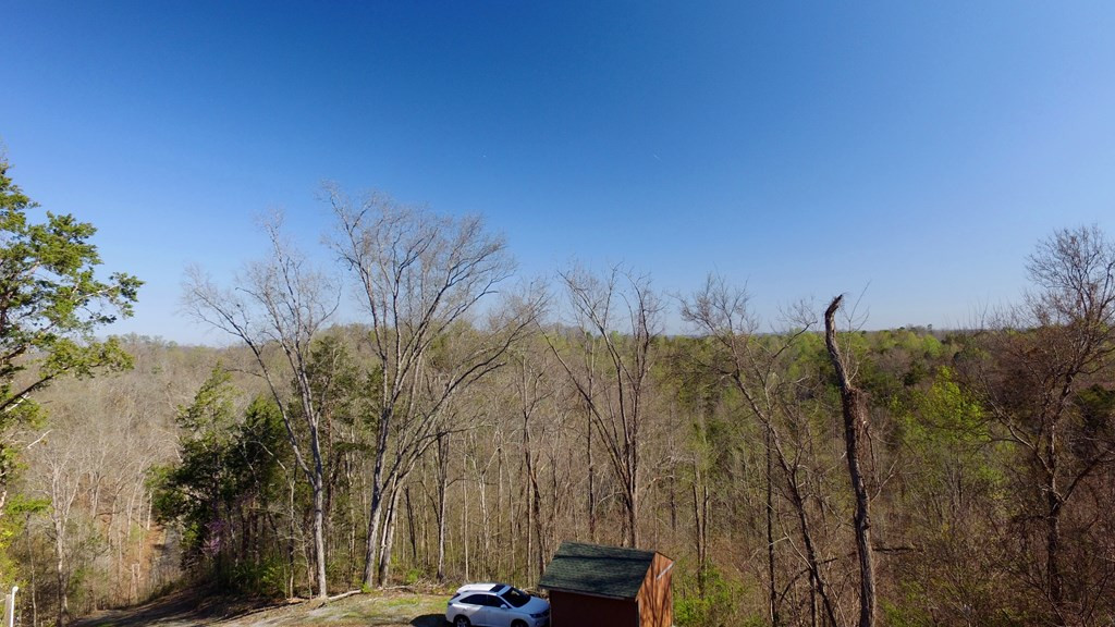 331 Chestnut Ridge Walland TN 37886