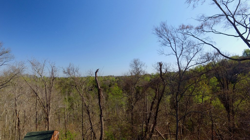 331 Chestnut Ridge Walland TN 37886