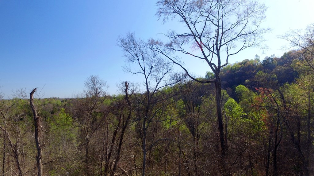331 Chestnut Ridge Walland TN 37886