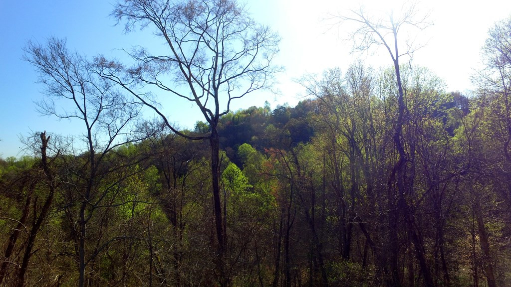 331 Chestnut Ridge Walland TN 37886
