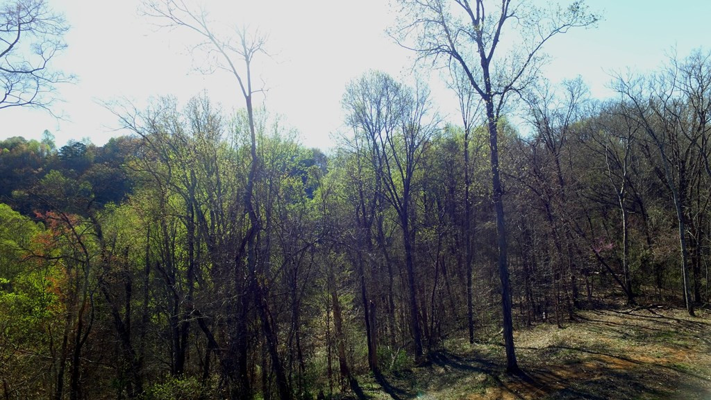 331 Chestnut Ridge Walland TN 37886