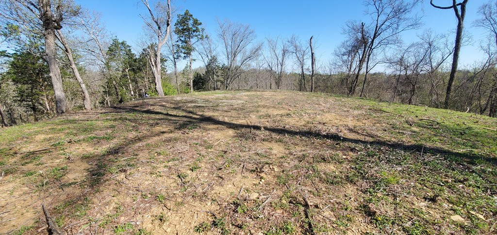 331 Chestnut Ridge Walland TN 37886