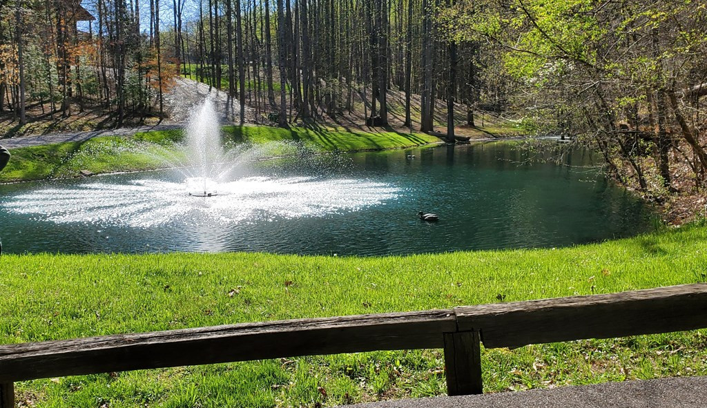 331 Chestnut Ridge Walland TN 37886