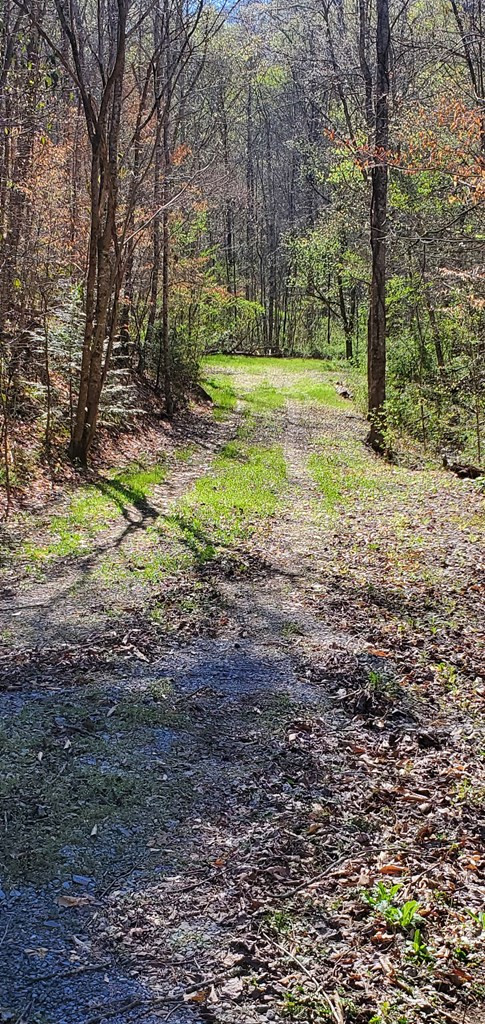 331 Chestnut Ridge Walland TN 37886
