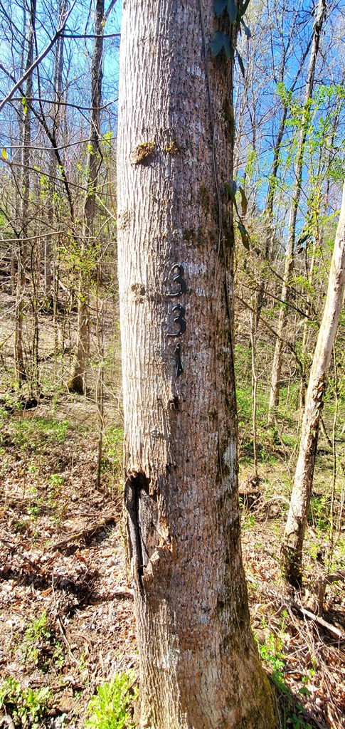 331 Chestnut Ridge Walland TN 37886