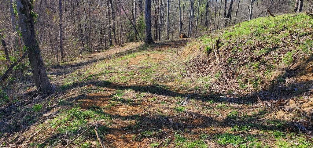 331 Chestnut Ridge Walland TN 37886
