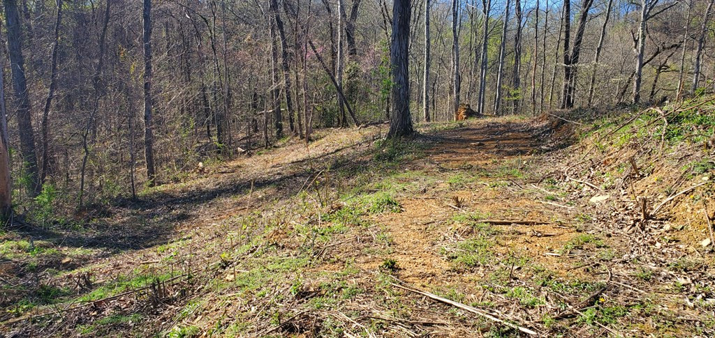 331 Chestnut Ridge Walland TN 37886