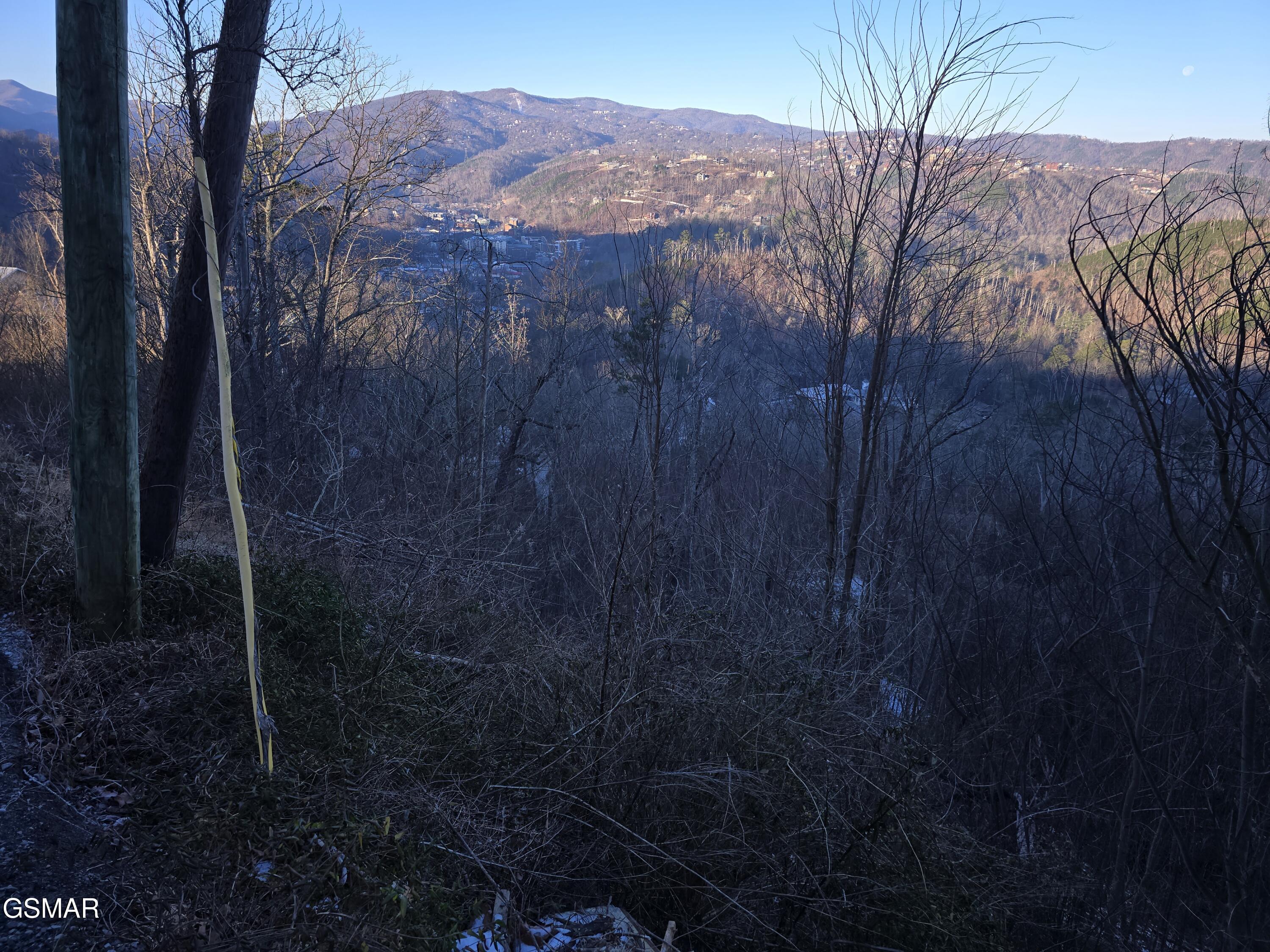 0 Tower Road Gatlinburg TN 37738