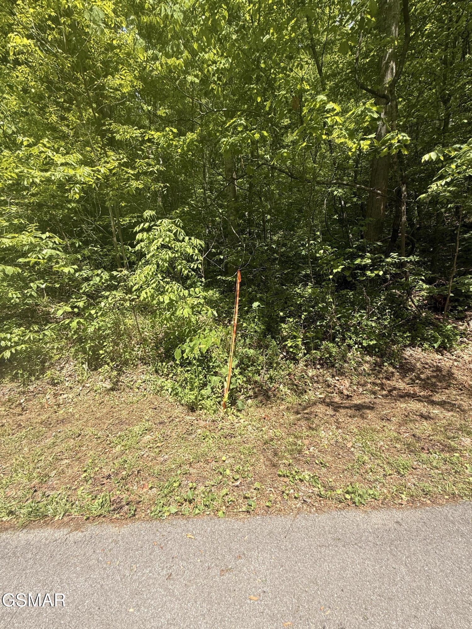 4045 Suttons Road Sevierville TN 37876