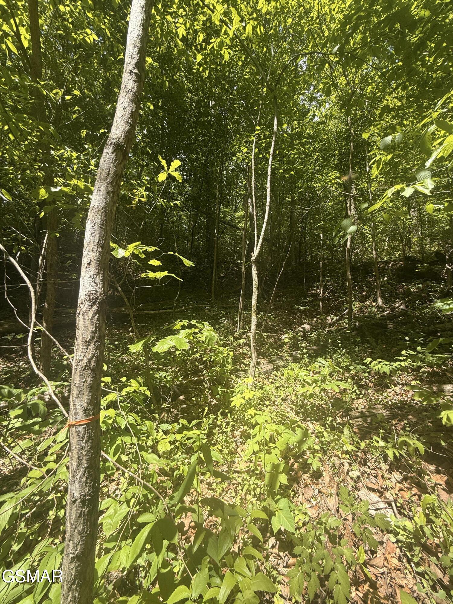 4045 Suttons Road Sevierville TN 37876
