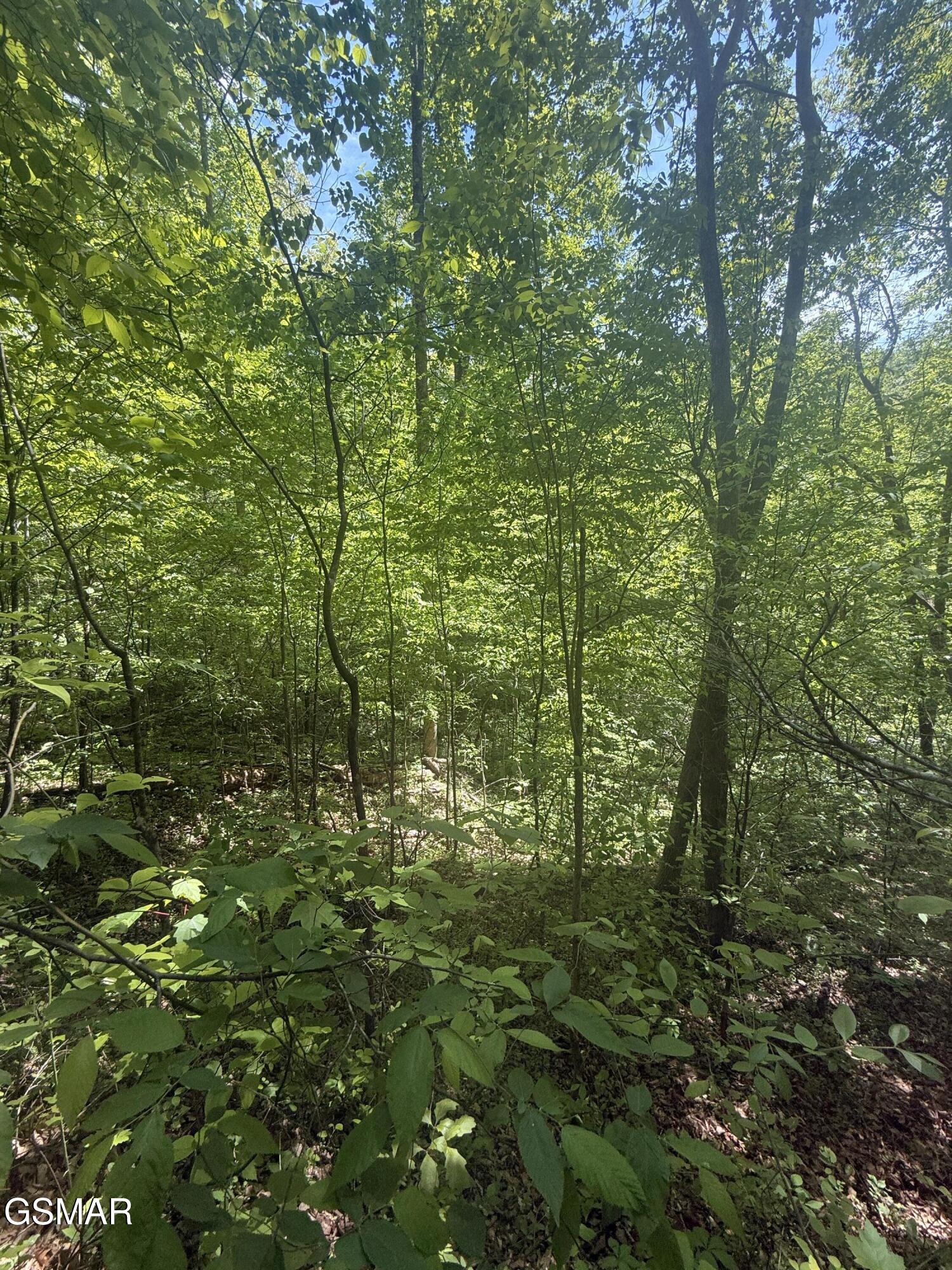 4045 Suttons Road Sevierville TN 37876