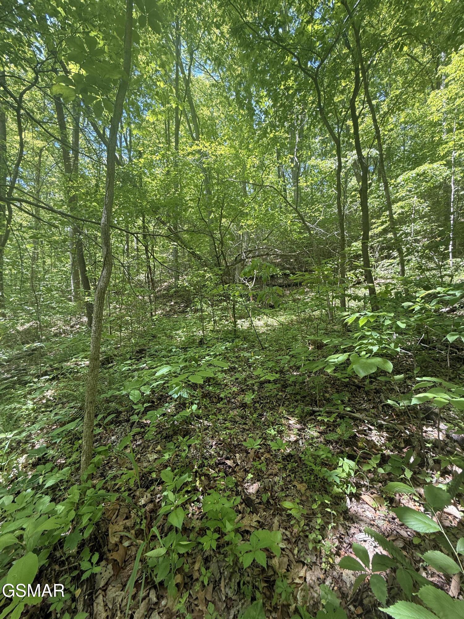 4045 Suttons Road Sevierville TN 37876