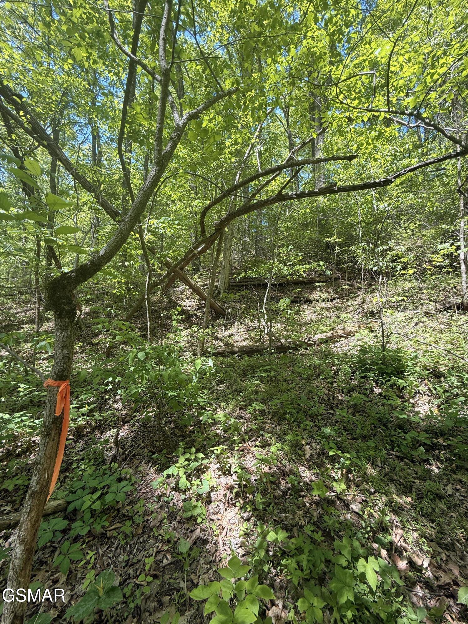 4045 Suttons Road Sevierville TN 37876