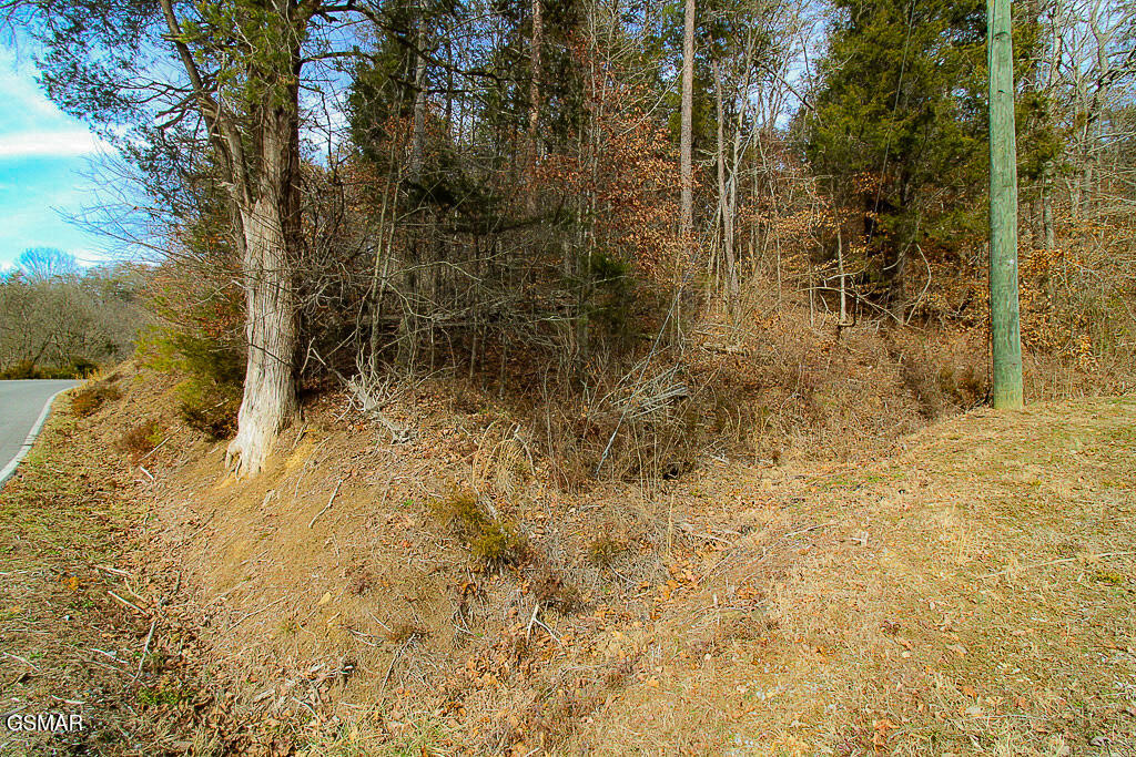 Lot 4 Kellum Creek Road Sevierville TN 37876