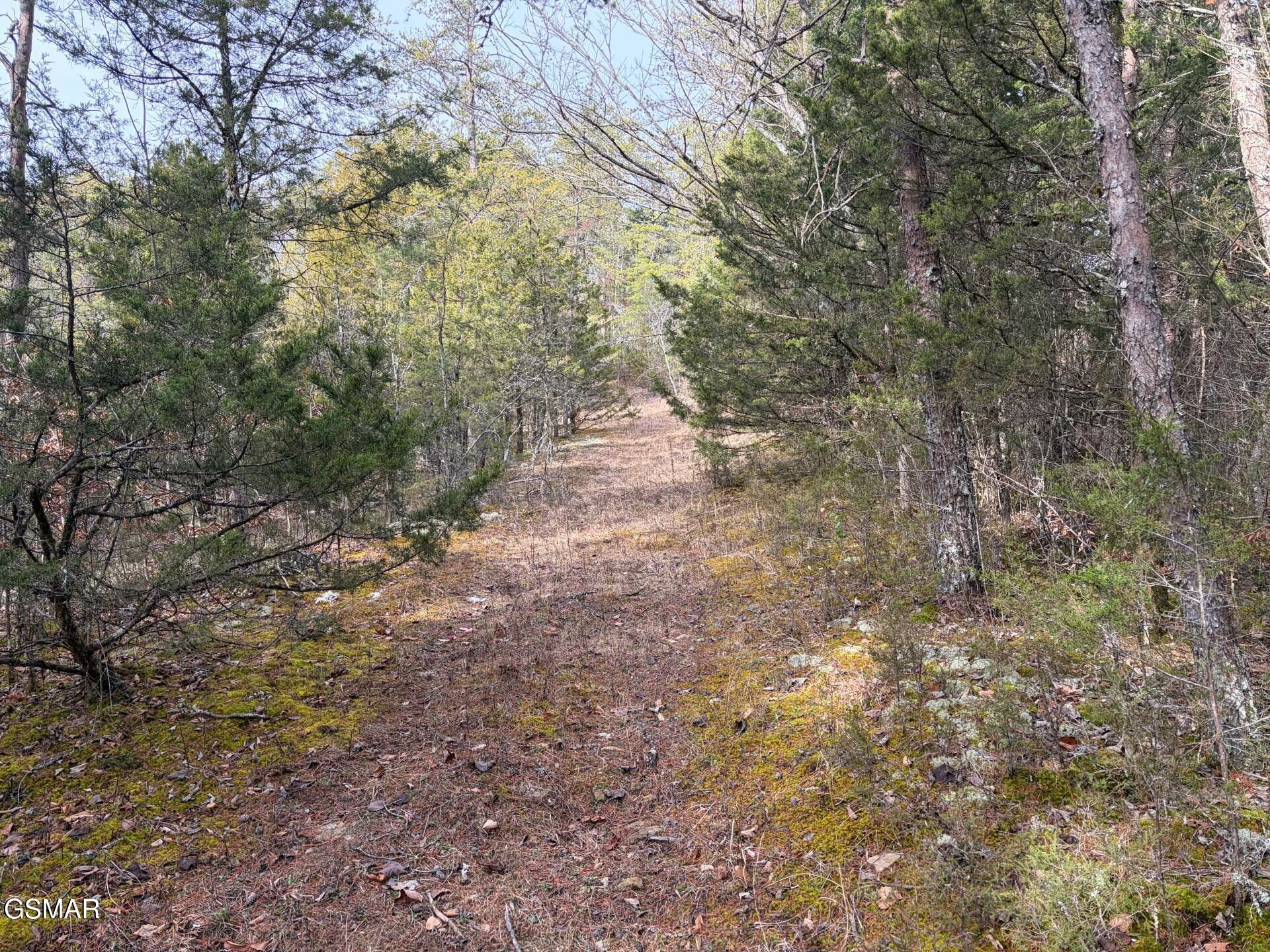 Lot 4 Kellum Creek Road Sevierville TN 37876