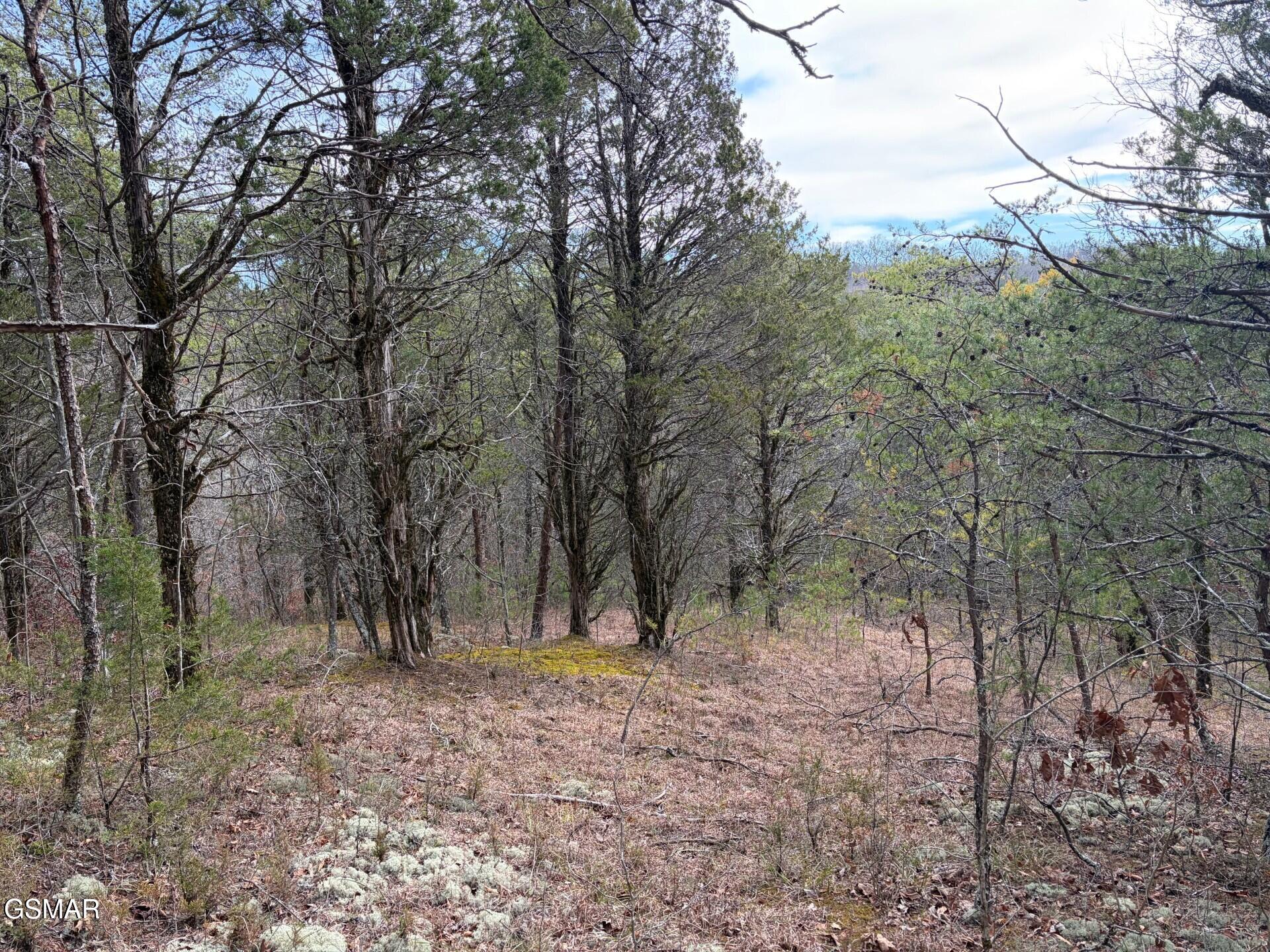 Lot 4 Kellum Creek Road Sevierville TN 37876