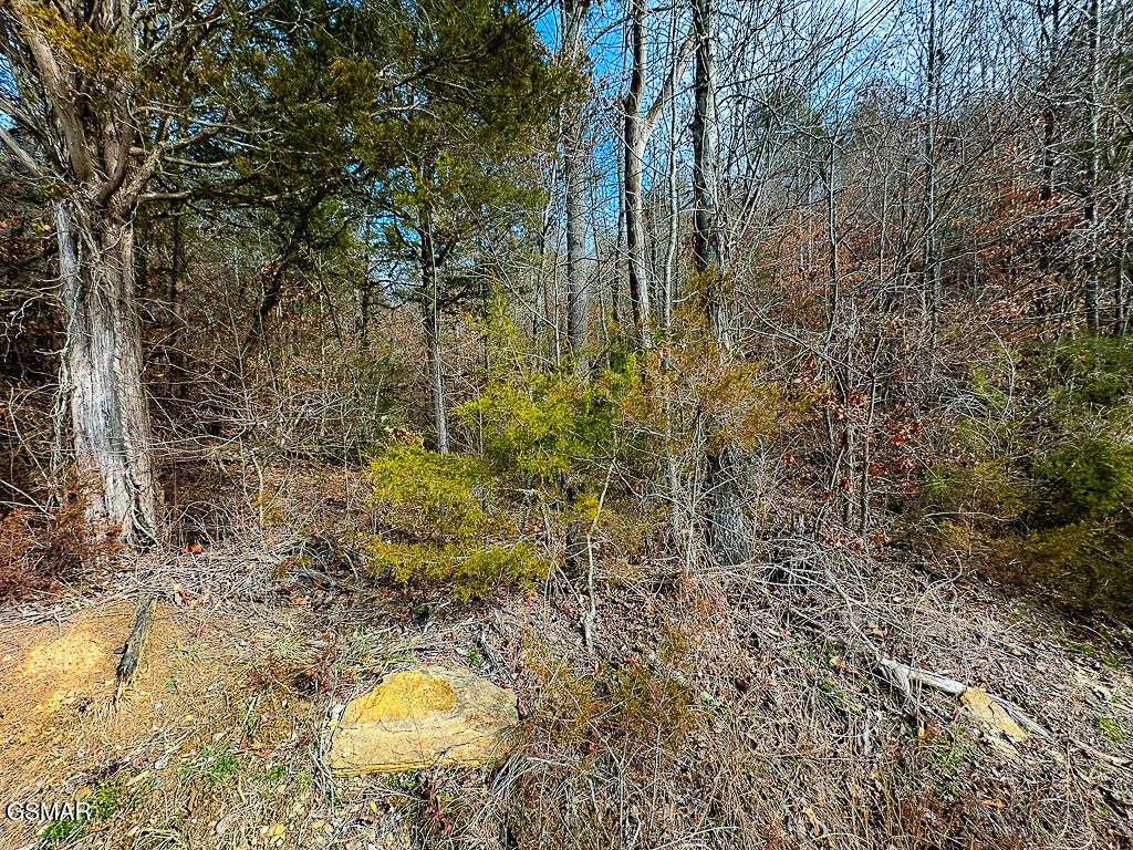 Lot 4 Kellum Creek Road Sevierville TN 37876