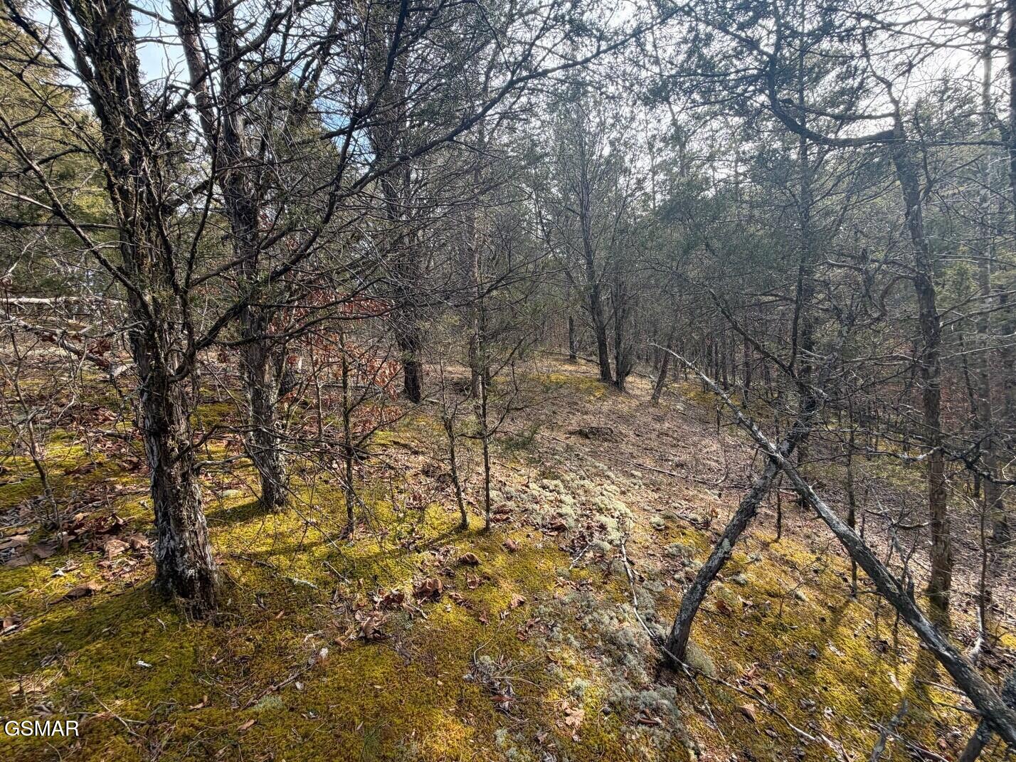 Lot 4 Kellum Creek Road Sevierville TN 37876
