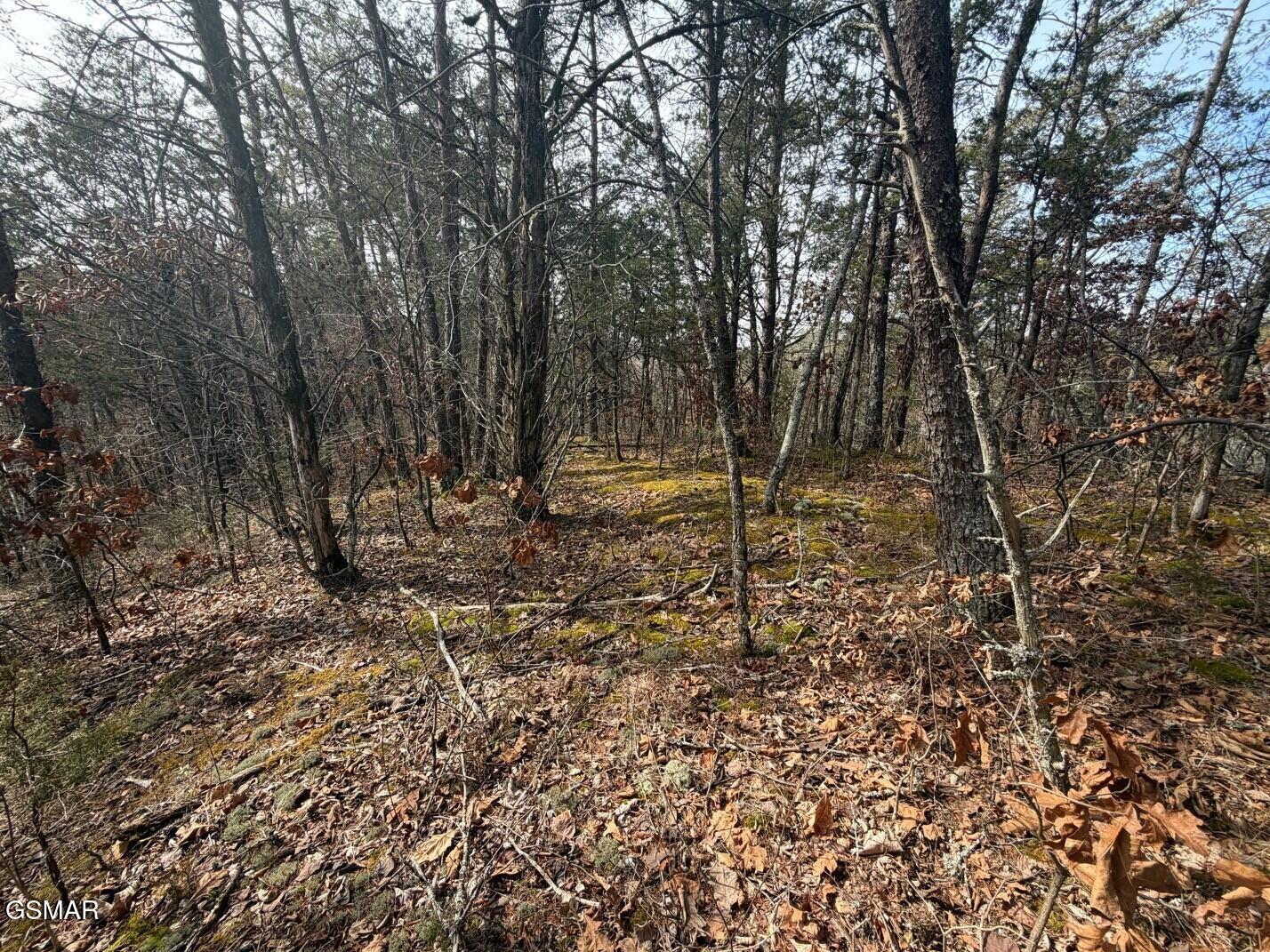 Lot 4 Kellum Creek Road Sevierville TN 37876